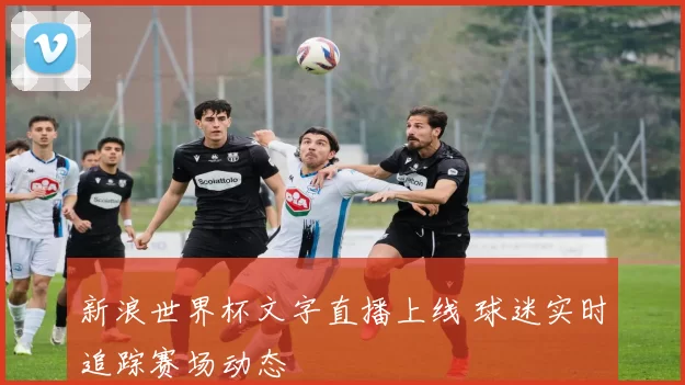 新浪世界杯文字直播上线 球迷实时追踪赛场动态