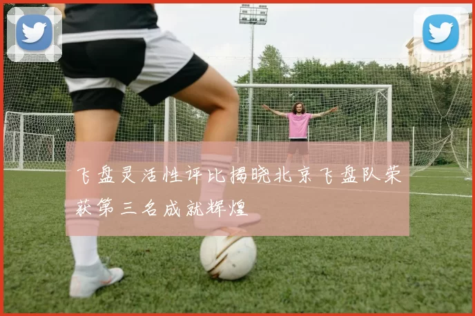 飞盘灵活性评比揭晓北京飞盘队荣获第三名成就辉煌