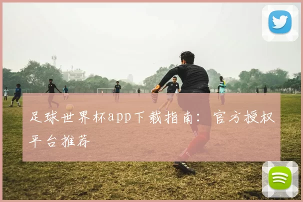 足球世界杯app下载指南:官方授权平台推荐