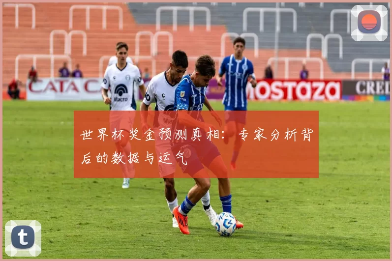 世界杯奖金预测真相：专家分析背后的数据与运气