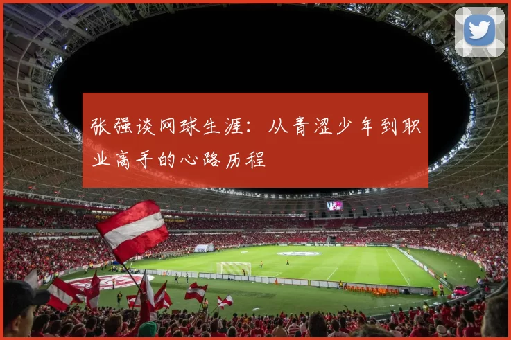 张强谈网球生涯：从青涩少年到职业高手的心路历程