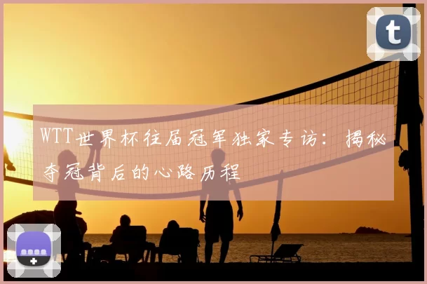 WTT世界杯往届冠军独家专访:揭秘夺冠背后的心路历程